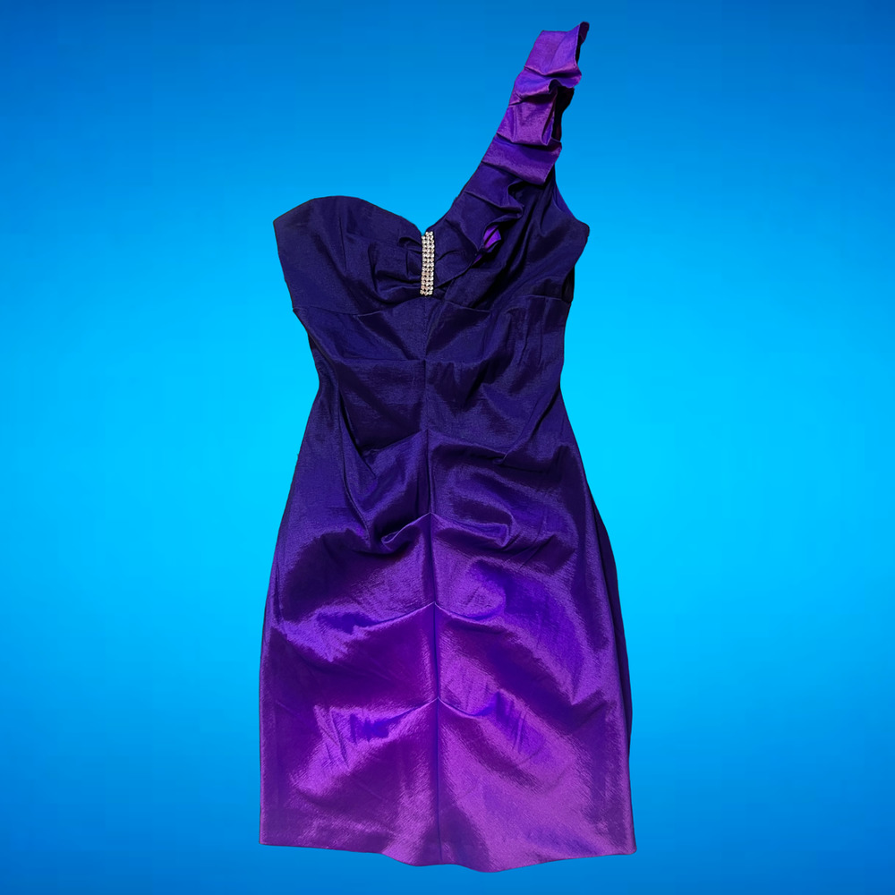vintage purple Blondie Nites by Stacy Sklar dress